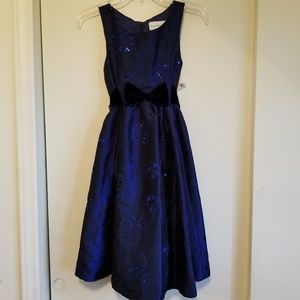 Sweet Heart Rose Dress